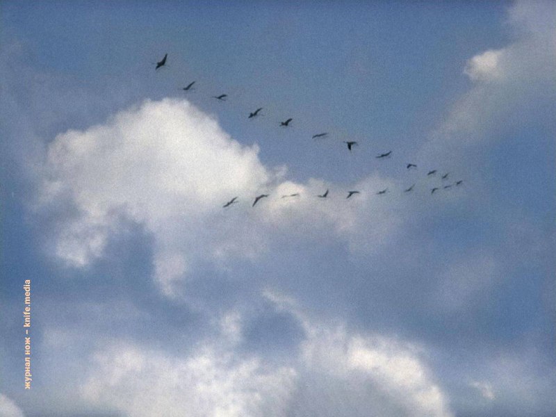 Иллюстрация 7