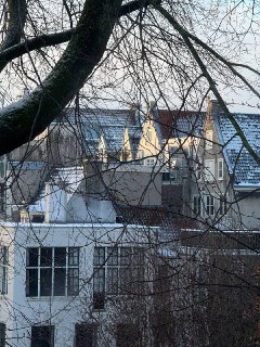 Иллюстрация 1