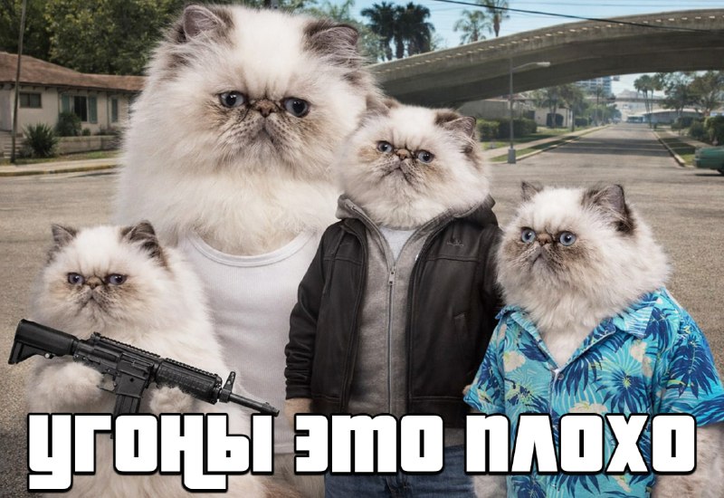 Геймер прошел GTA IV без угонов