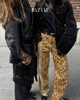 Иллюстрация 5