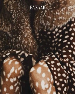 Иллюстрация 8