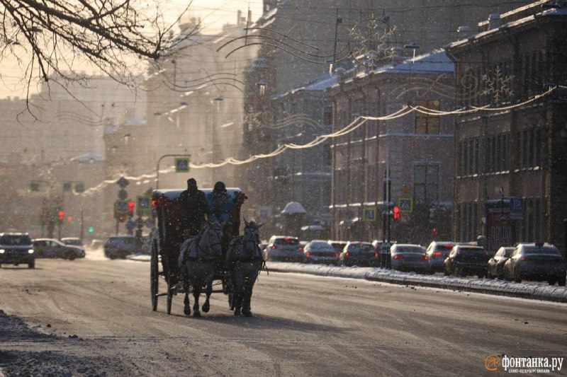 В Петербурге выглянуло солнце