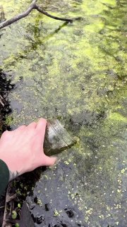 Apple показала, как снимать микромир на iPhone