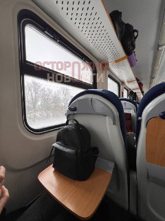 Пассажиров поезда Рязань-Москва заставили идти по сугробам