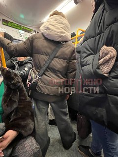 Иллюстрация 2