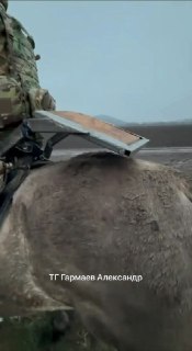 Иллюстрация 2