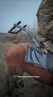 Иллюстрация 3