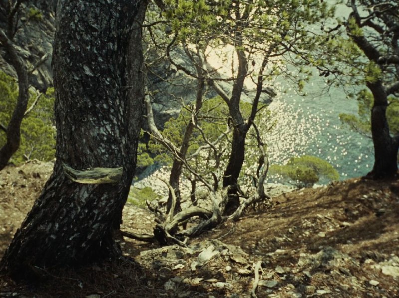 Иллюстрация 7