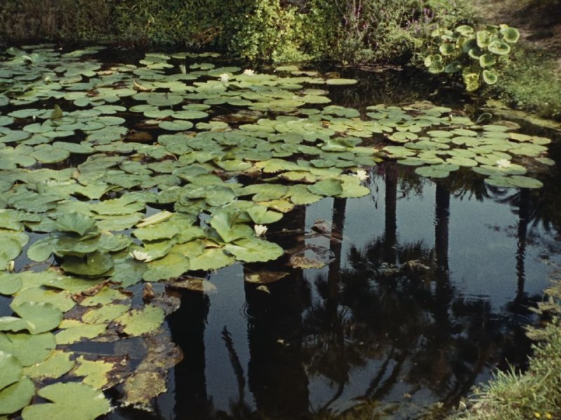 Иллюстрация 10