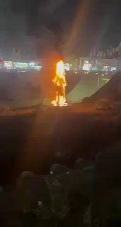 Иллюстрация 6