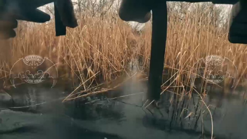 Иллюстрация 4