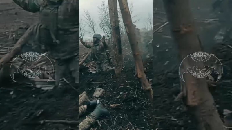 Иллюстрация 3