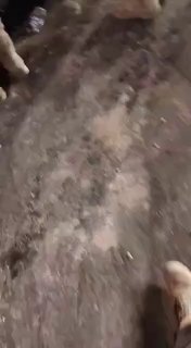 Военные зачищают район Аль-Ашрафия