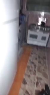 Иллюстрация 3