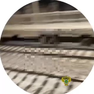 В Ленобласти подросток погиб при падении с электрички