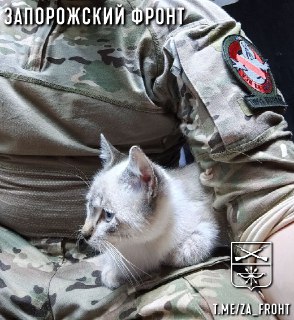 Обзор ситуации на Запорожском фронте