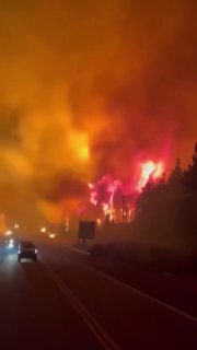 Лесной пожар в Аргентине: трасса перекрыта, власти подозревают поджог