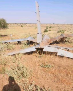 Иллюстрация 1