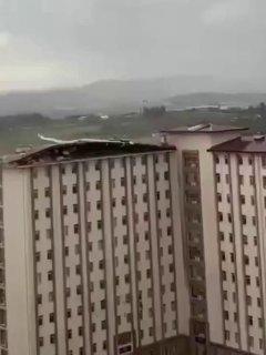 Иллюстрация 5