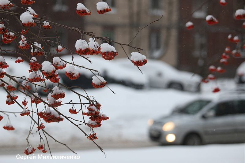 Погода в Петербурге на ближайшие три дня
