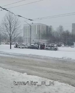 В Львове мобилизаторы применили силу против девушки, препятствовавшей мобилизации
