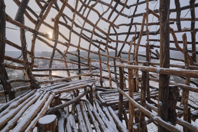 Иллюстрация 4