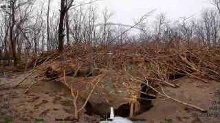 Иллюстрация 2