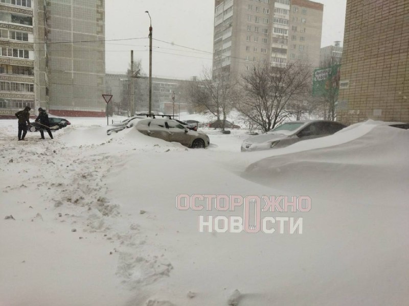 Иллюстрация 1