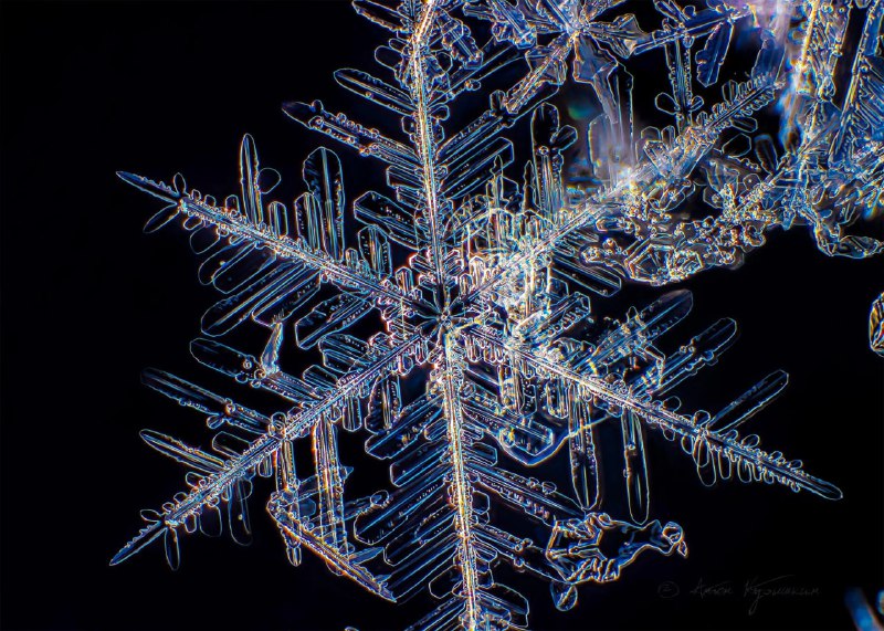 В Петербурге зафиксирован зимний максимум снежного покрова