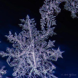 Иллюстрация 1