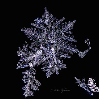 Иллюстрация 2