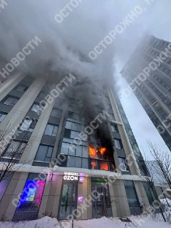 Иллюстрация 2