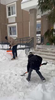 Иллюстрация 4