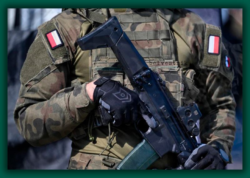 Польша готовит население к войне: запущена масштабная военная подготовка