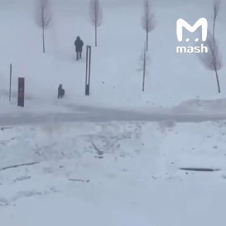 Иллюстрация 1