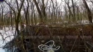 Удар БпЛА по танку противника