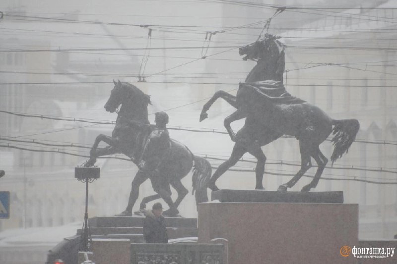 Иллюстрация 1