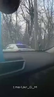 Иллюстрация 3