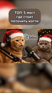 Коты стали подкастерами благодаря ИИ