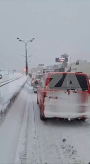 Иллюстрация 4