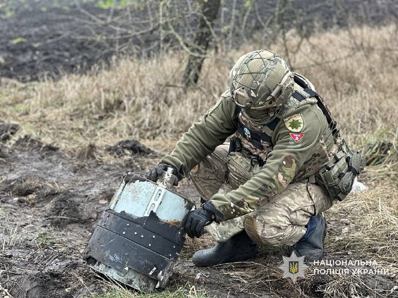 Иллюстрация 1