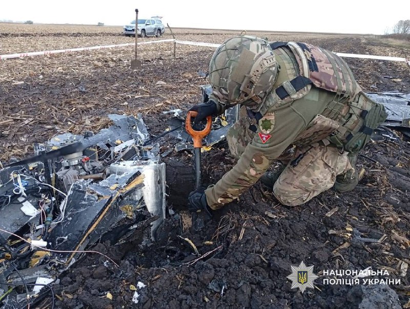 Иллюстрация 2