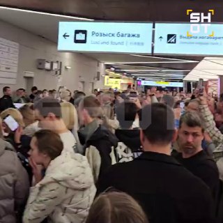 В Шереметьево пассажиры ждут багаж из-за циклона