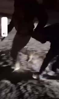 Сирийская армия начала операцию в районе Алеппо