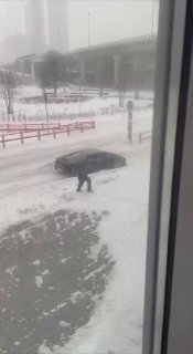 Итальянские лошади покоряют московский снег