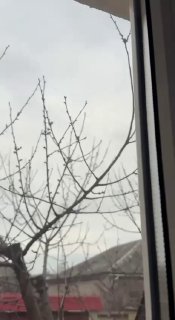 Иллюстрация 2