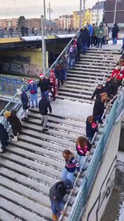 В Германии запретили использовать противолёдные реагенты