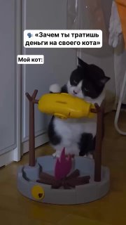 Кормушка для котов в виде рыбы на костре появилась на маркетплейсах