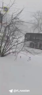 Иллюстрация 3