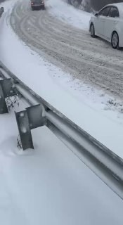 Иллюстрация 8